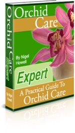 Orchid Care