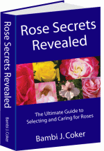 Rose Secrets Revealed